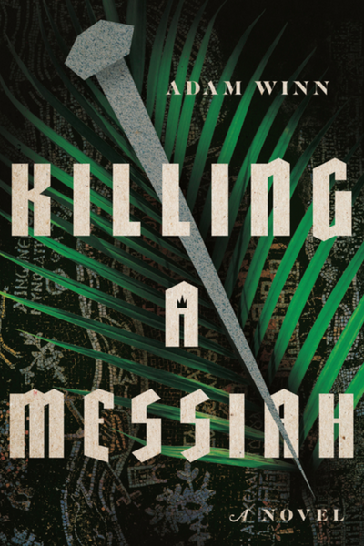 Killing a Messiah: a novel