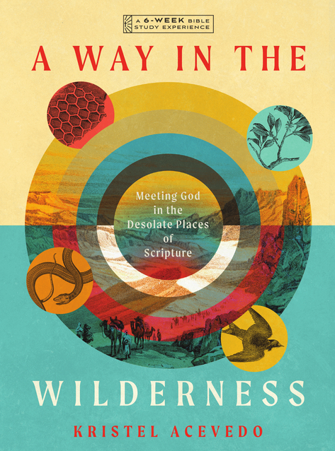 A Way in the Wilderness: Meeting God in the Desolate Places of Scripture--A 6-Week Bible Study with Video Access (IVP Bible Study Experience)