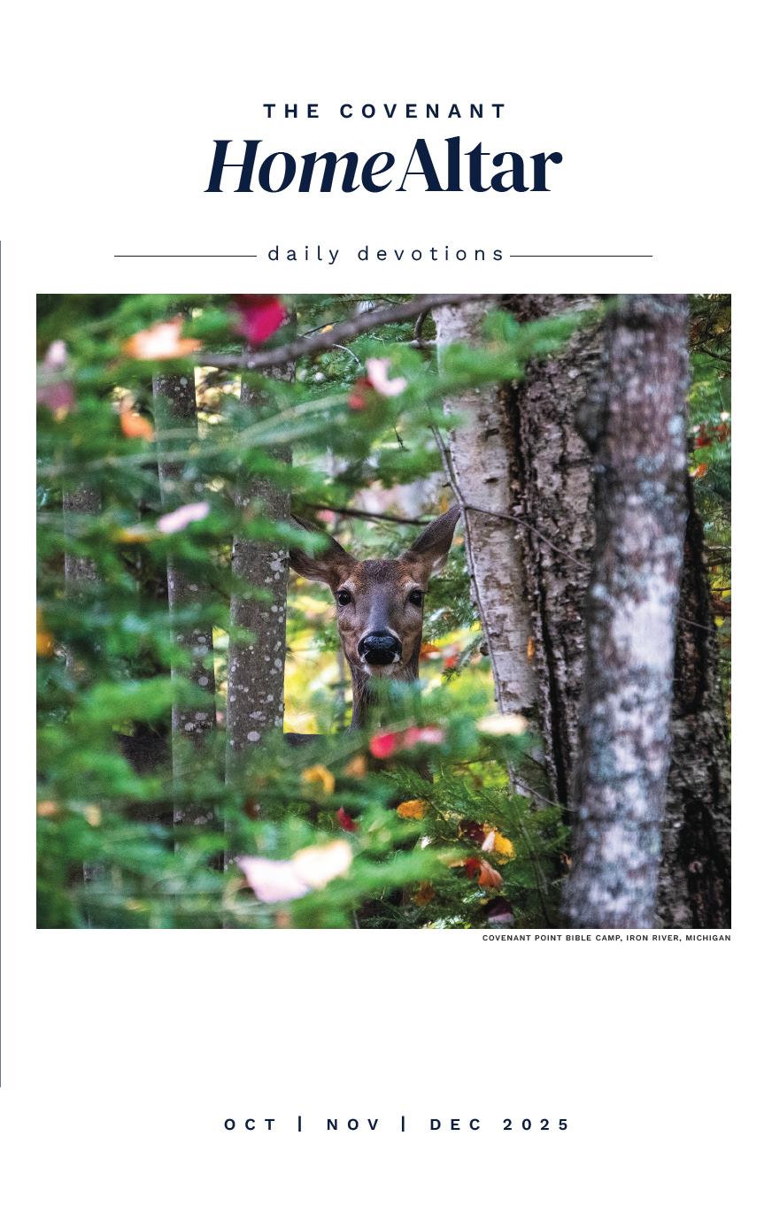 Home Altar: Single Copy