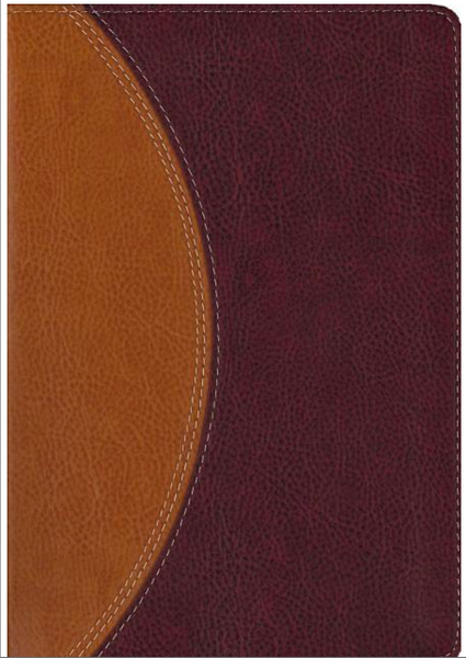 Study Bible-NIV-Compact Burgundy/Tan