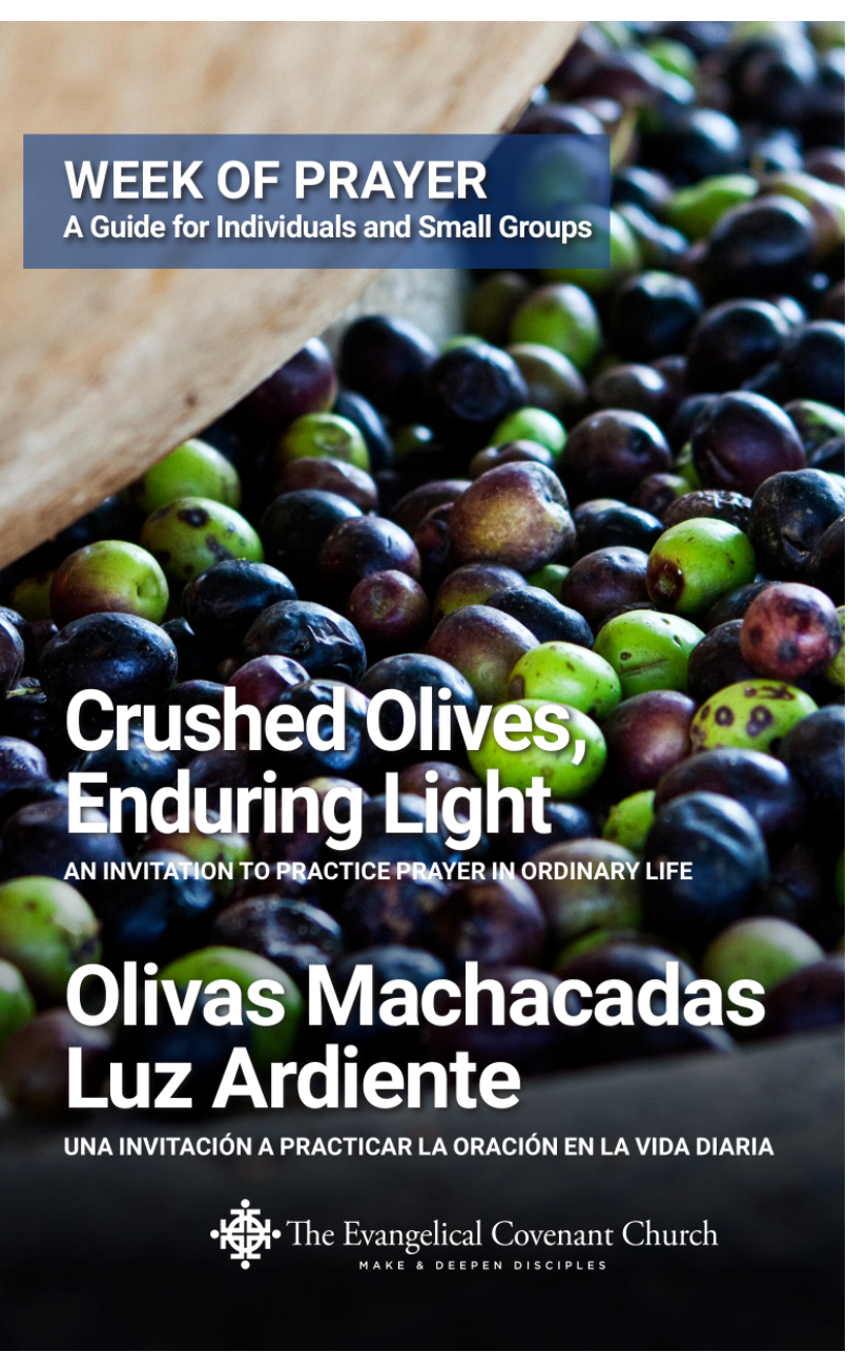 2019 Week of Prayer booklet (English/Spanish)