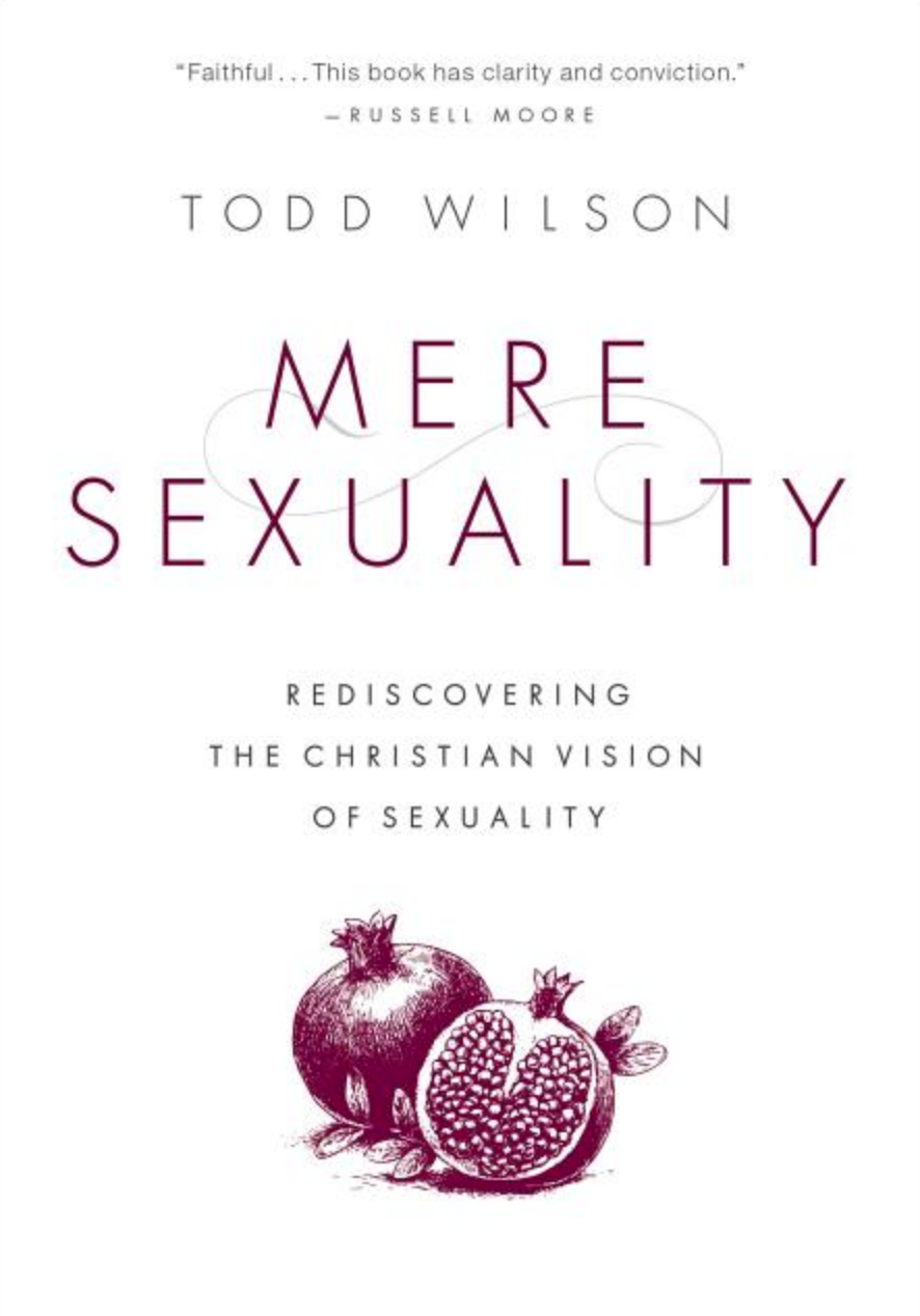 Mere Sexuality: Rediscovering the Christian Vision of Sexuality
