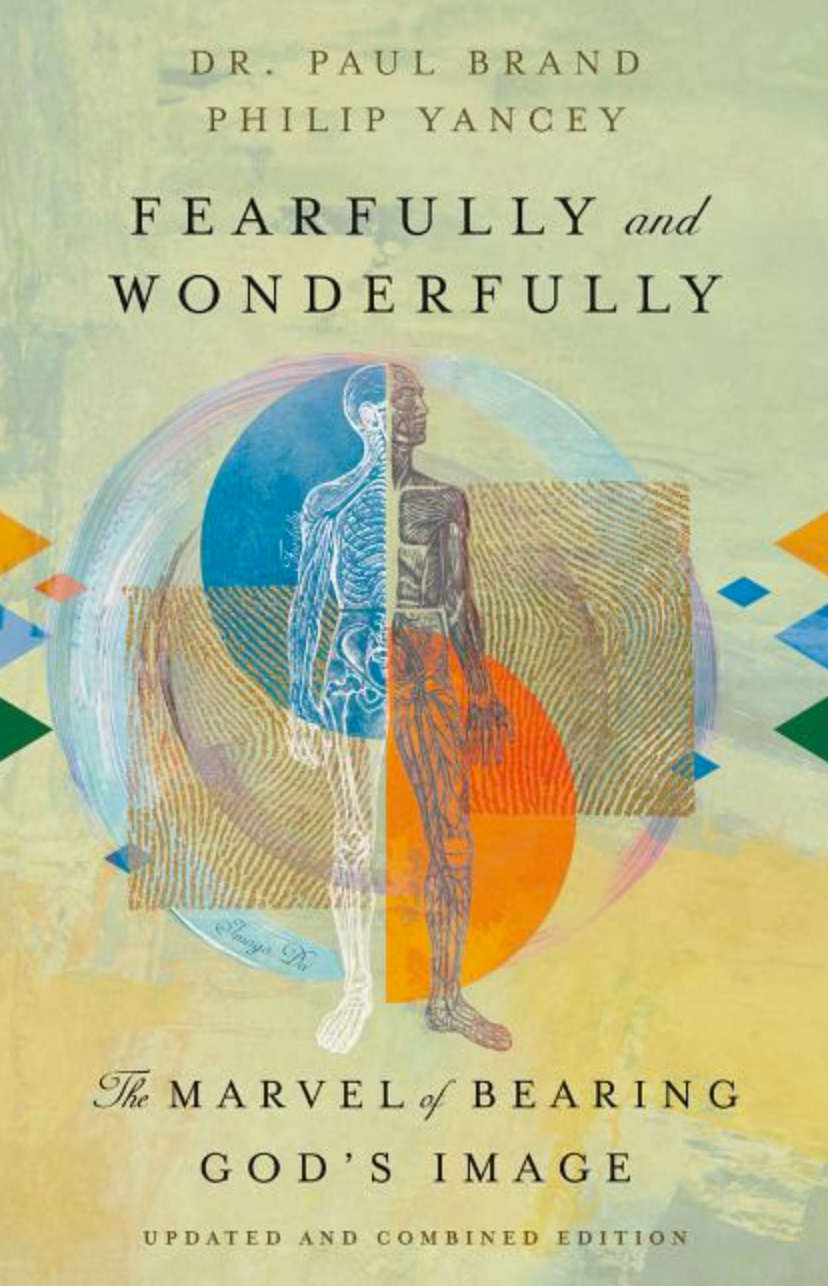 Fearfully and Wonderfully Made: The Marvel of Bearing God's Image