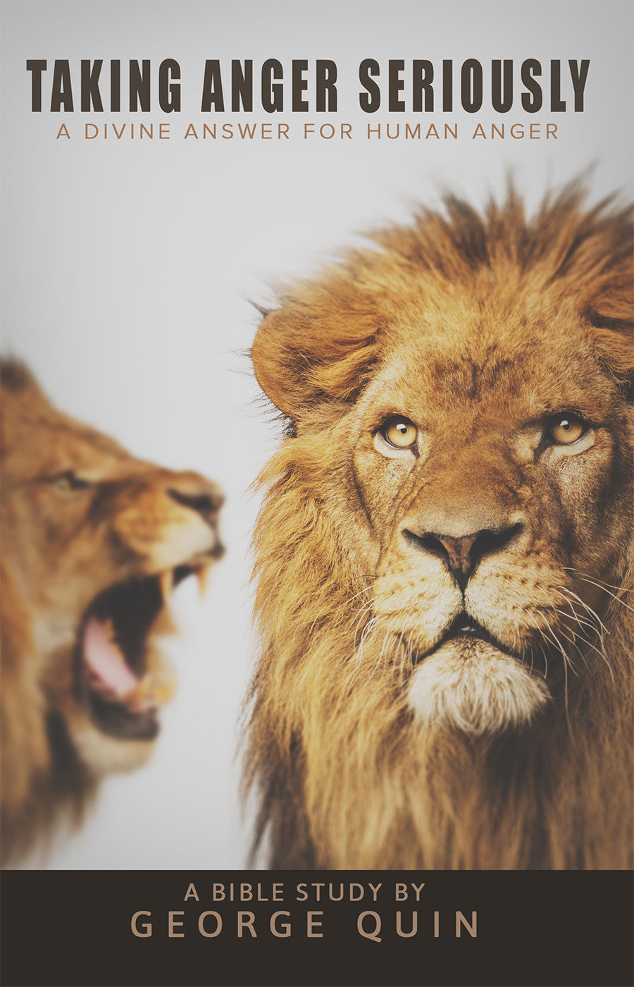 Taking Anger Seriously: A Divine Answer for Human Anger