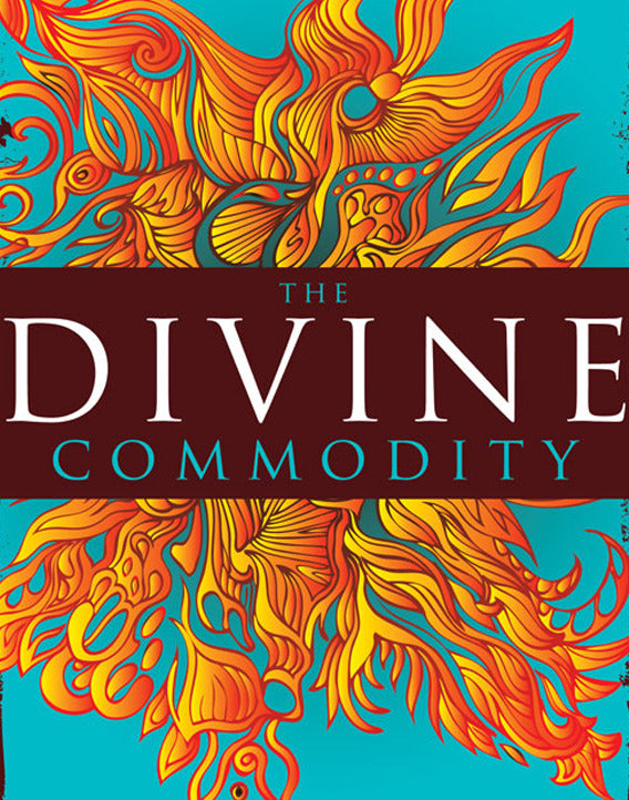 The Divine Commodity: Discovering a Faith Beyond Consumer Christianity