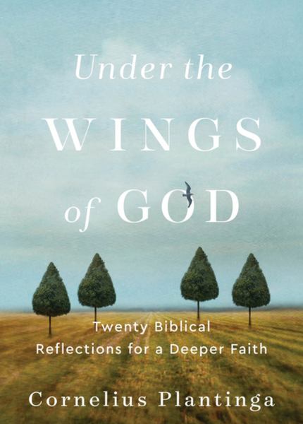 Under the Wings of God