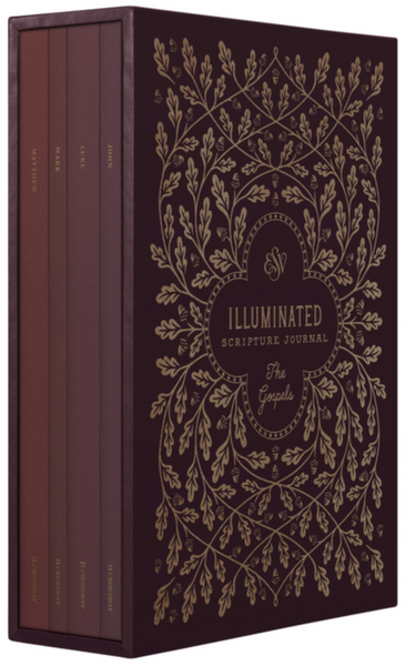 ESV Illuminated Scripture Journal: Gospels Set