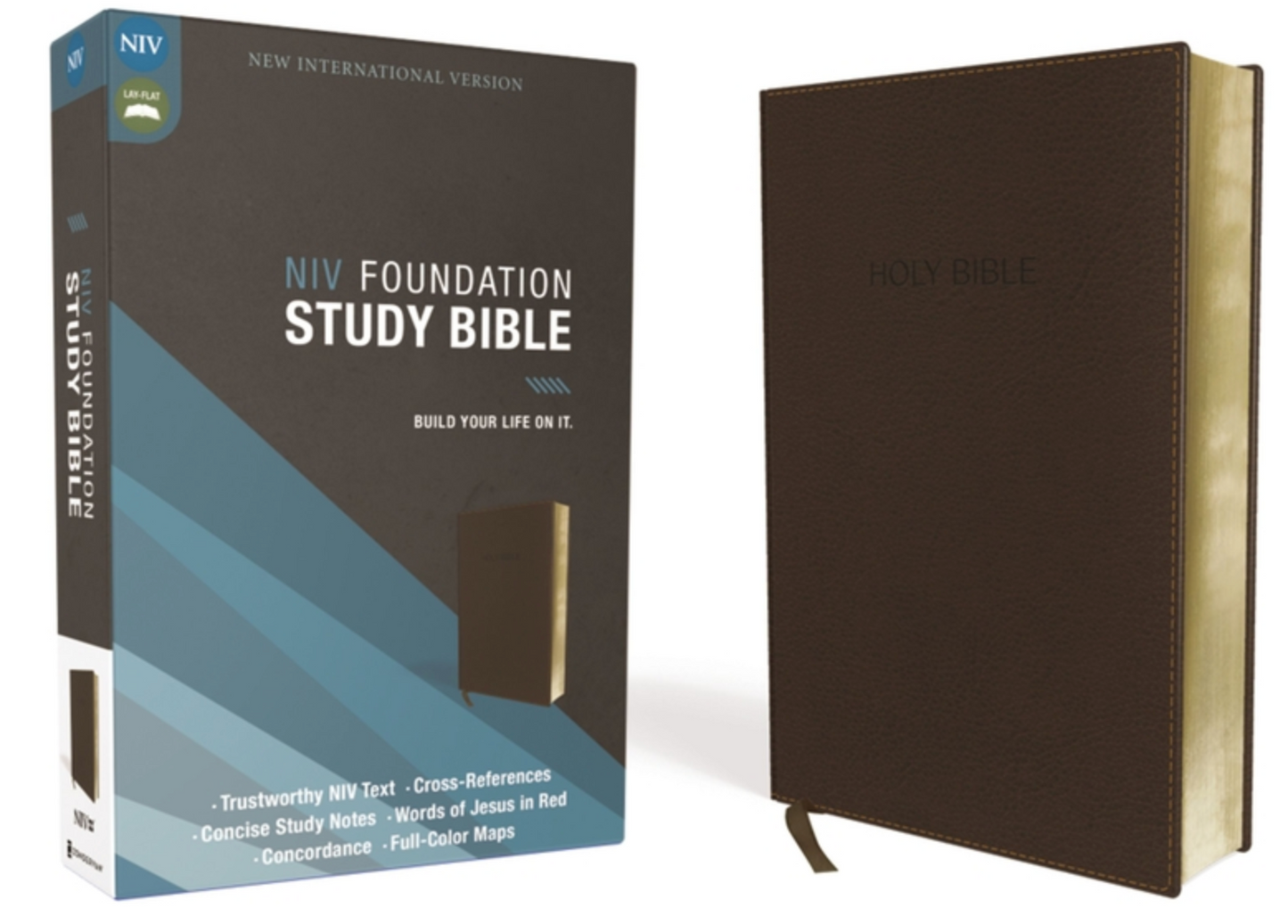 Foundation Study Bible-NIV