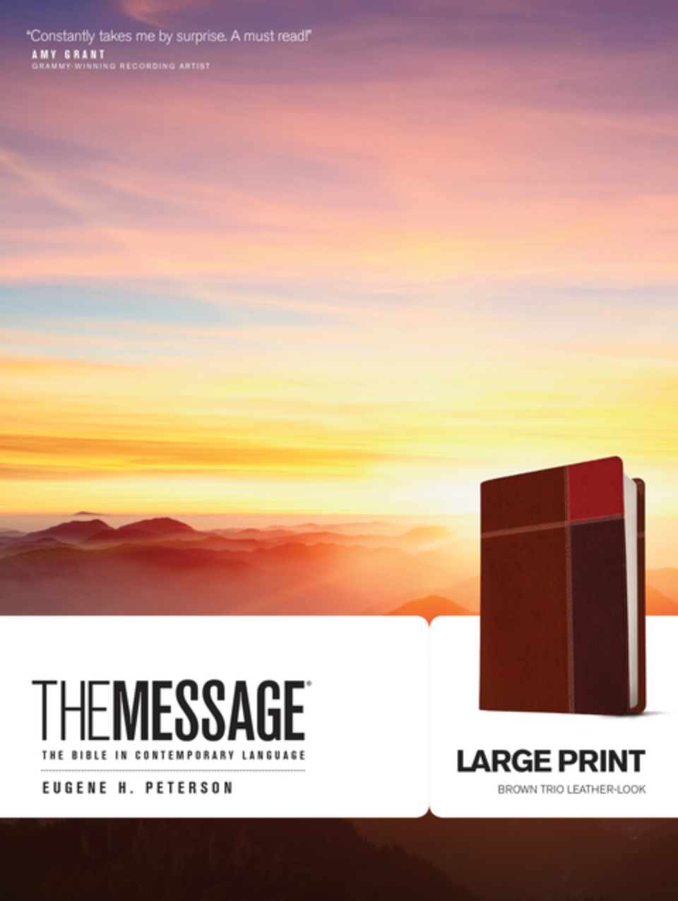 Message-MS-Large Print Numbered: The Bible in Contemporary Language (brown leather)