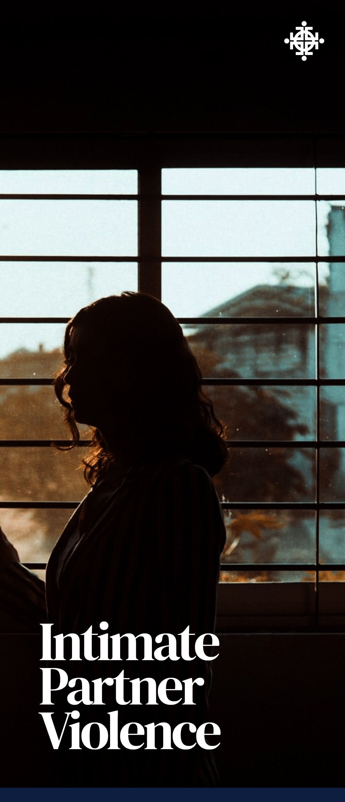 Intimate Partner Abuse (AVA brochure) – Covenant Bookstore