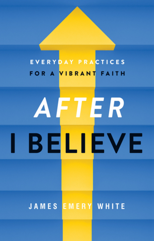After I Believe: Everyday Practices for a Vibrant Faith
