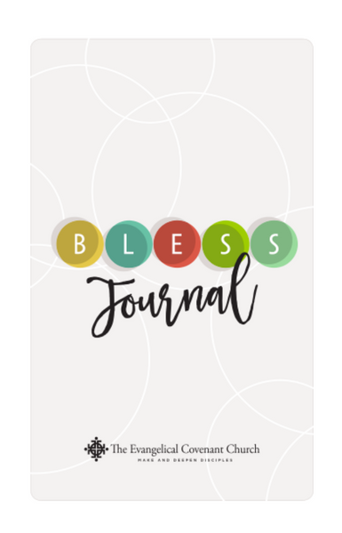 BLESS journal