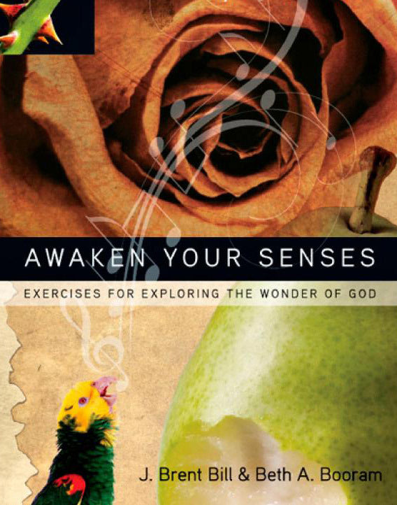 Awaken Your Senses: Exercises for Exploring the Wonder of God