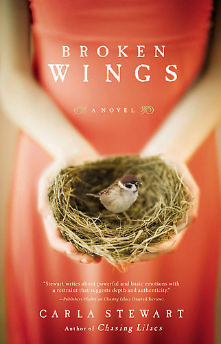 Broken Wings: A Novel