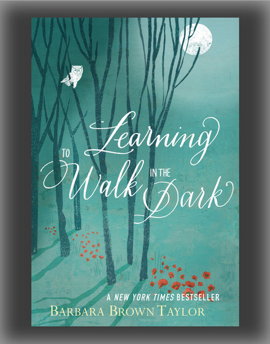 Learning to Walk in the Dark: Because Sometimes God Shows Up at Night