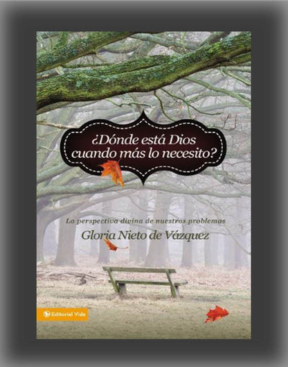 Donde Esta Dios Cuando Mas Lo Necesito?: La Perspectiva Divina de Nuestros Problemas