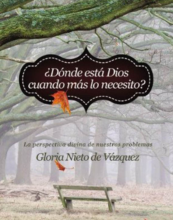 Donde Esta Dios Cuando Mas Lo Necesito?: La Perspectiva Divina de Nuestros Problemas