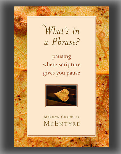 What's in a Phrase?: Pausing Where Scripture Gives You Pause